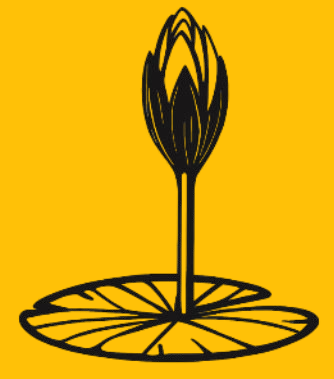 শাপলা কলি